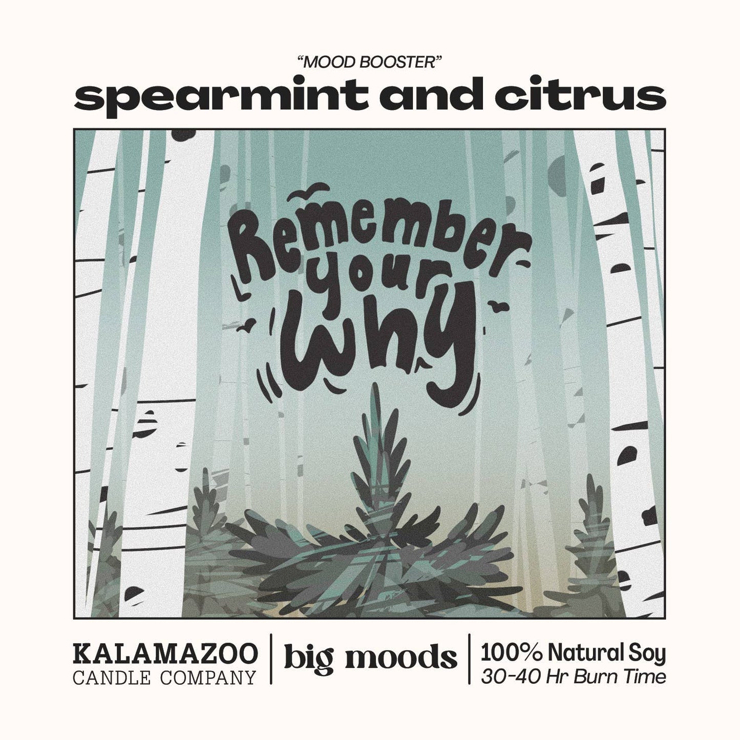 Spearmint & Citrus - 100% Soy Candle