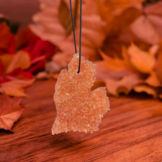 Toasted Pumpkin Spice Air Freshener