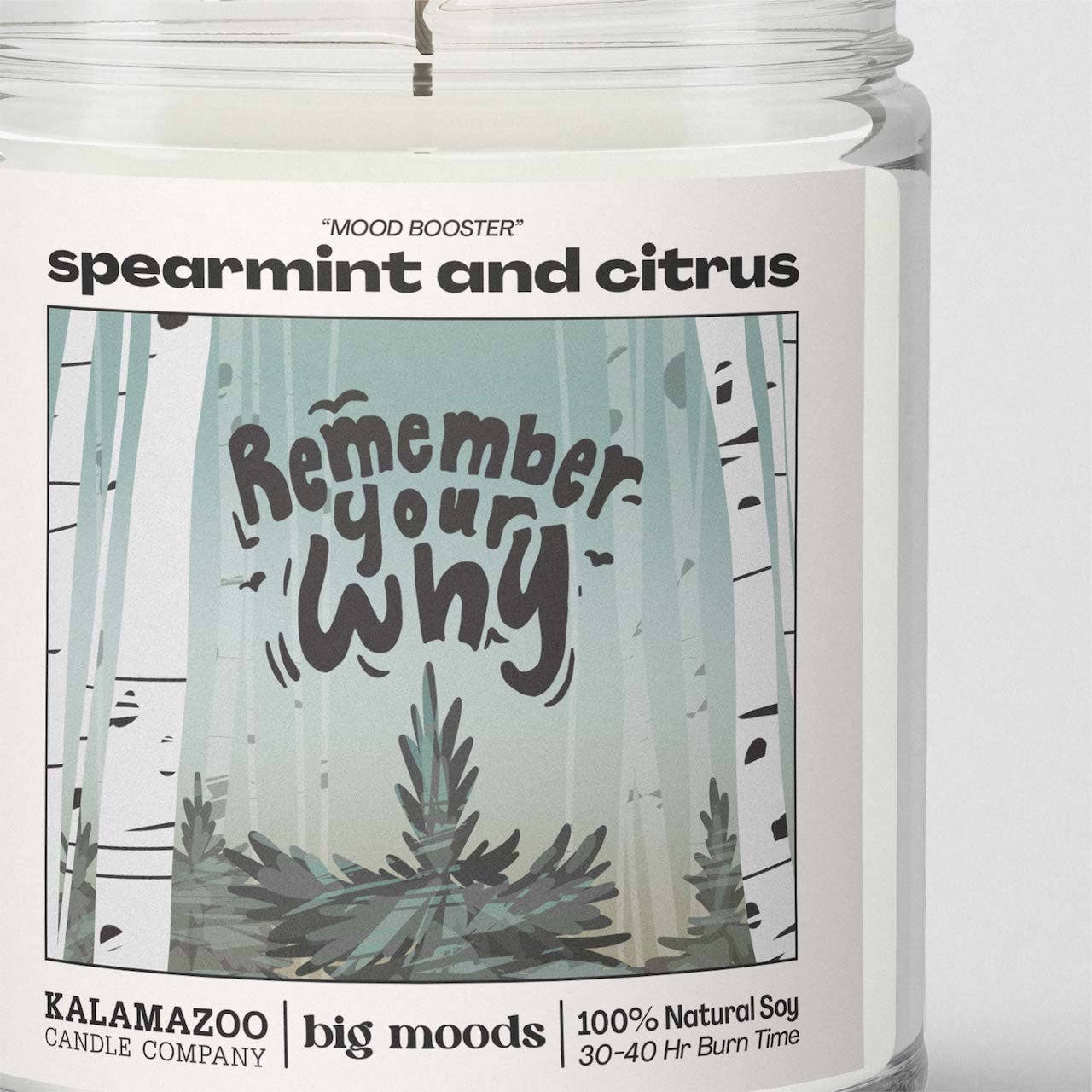 Spearmint & Citrus -  100% Soy Candle