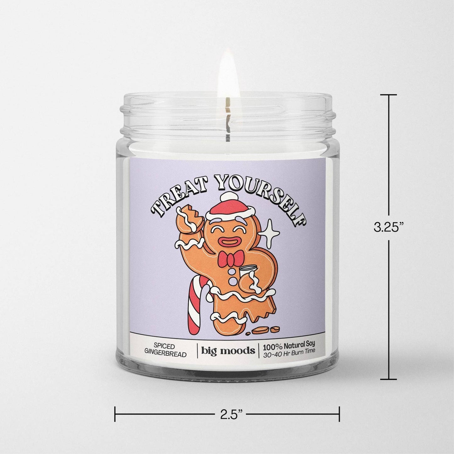 Spiced Gingerbread - 100% Soy Candle