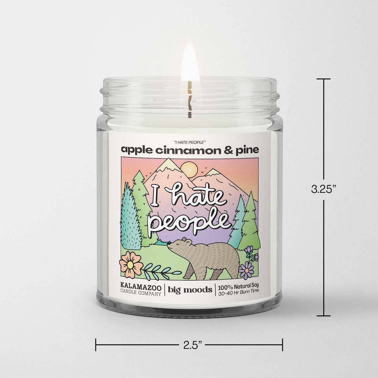 "I Hate People" Apple Cinnamon & Pine -  100% Soy Candle