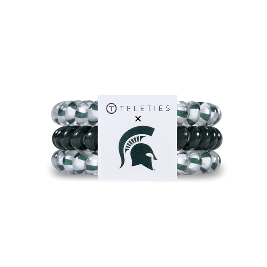 Michigan State Small Ties