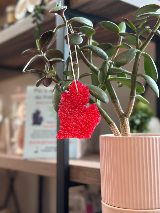 Macintosh Apple Air Freshener