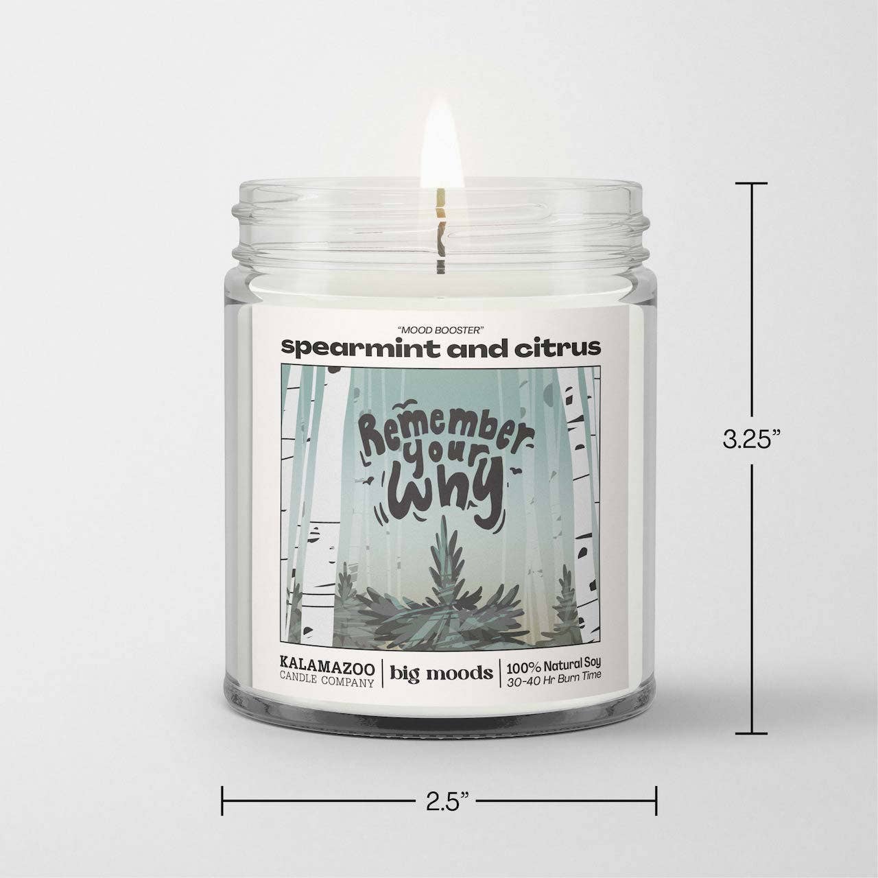 Spearmint & Citrus -  100% Soy Candle